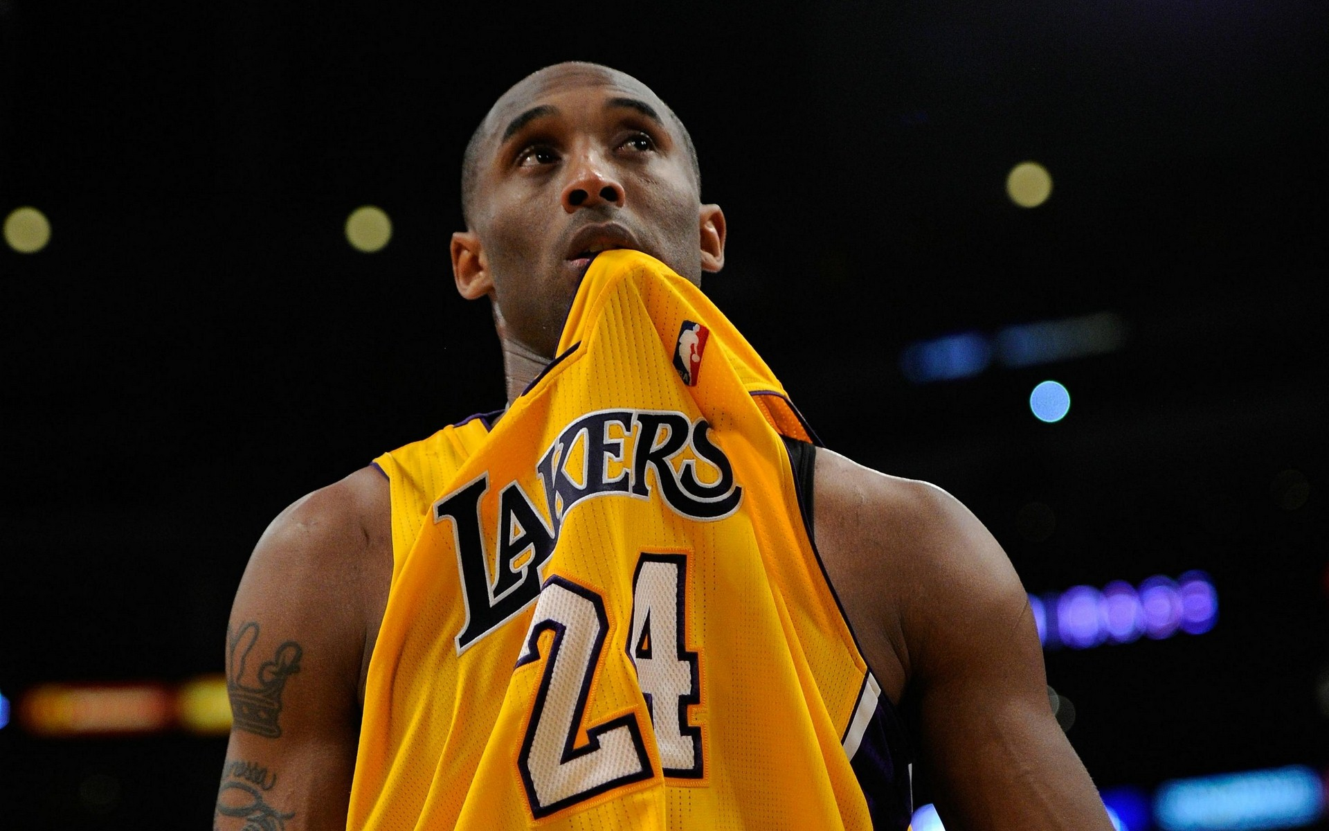 奇身份的尊 奇身份的尊